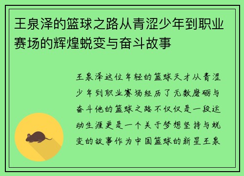 王泉泽的篮球之路从青涩少年到职业赛场的辉煌蜕变与奋斗故事
