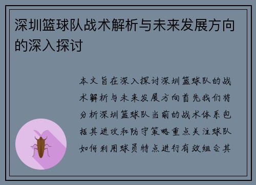 深圳篮球队战术解析与未来发展方向的深入探讨
