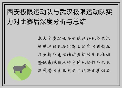 西安极限运动队与武汉极限运动队实力对比赛后深度分析与总结